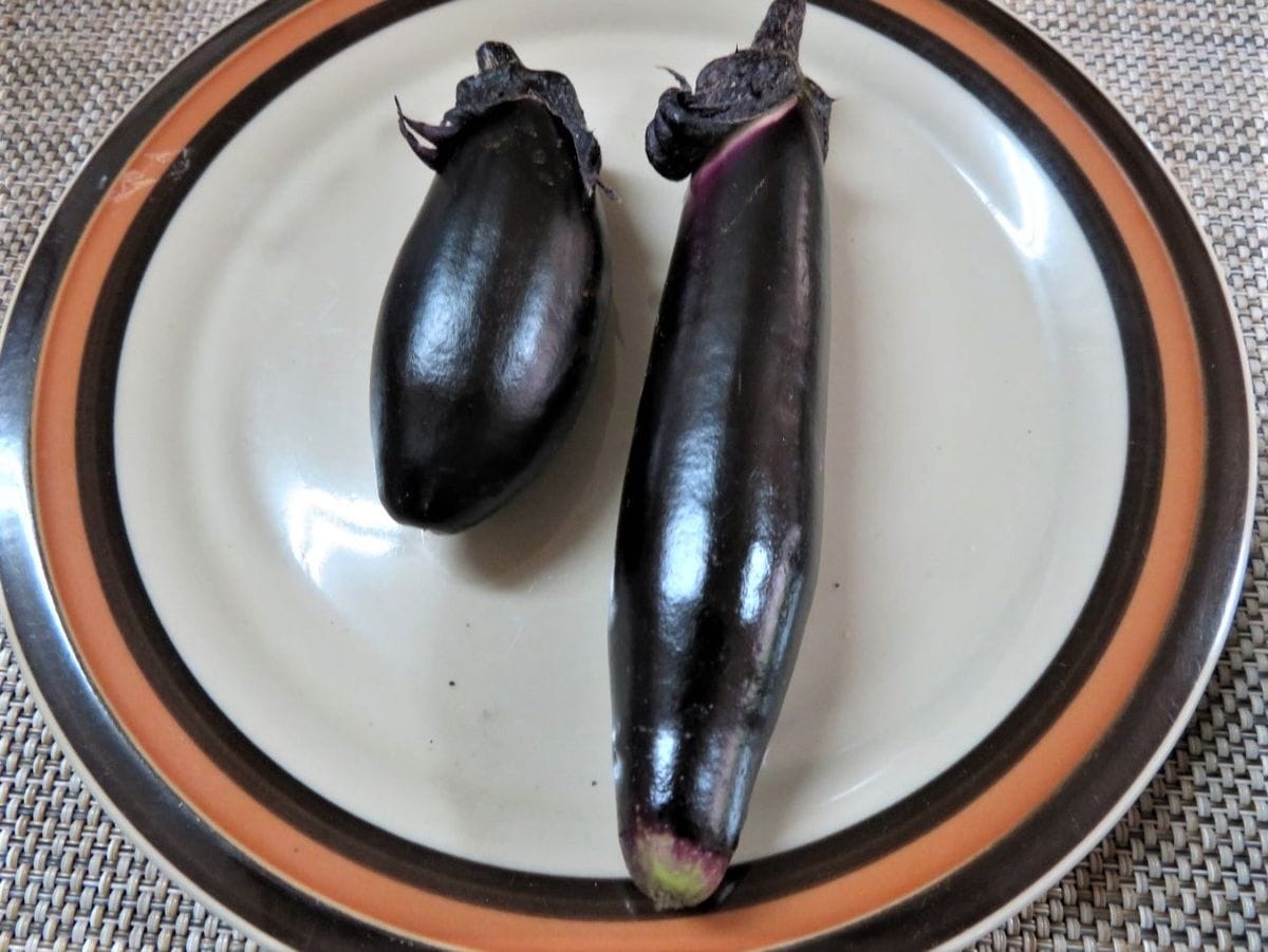 🍆ナスの実が出来た