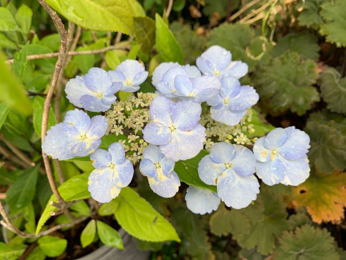 蒸暑い1日でした(^_-)-☆