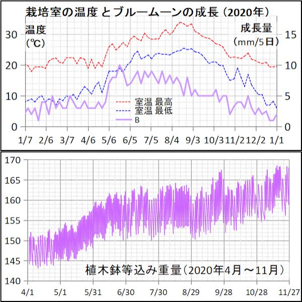 まだまだグレームード