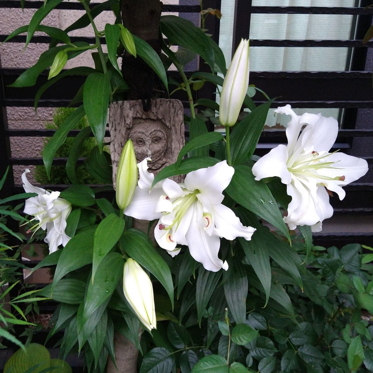 ずっと雨でした