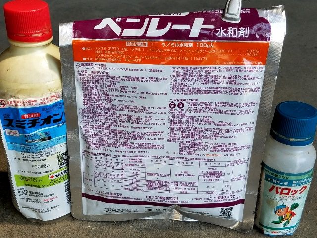 バラの薬剤散布