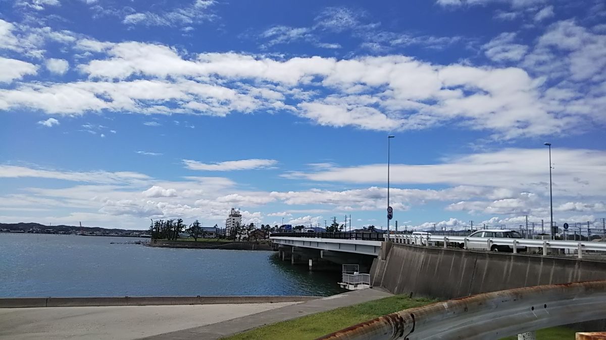 しろくまと浜名湖