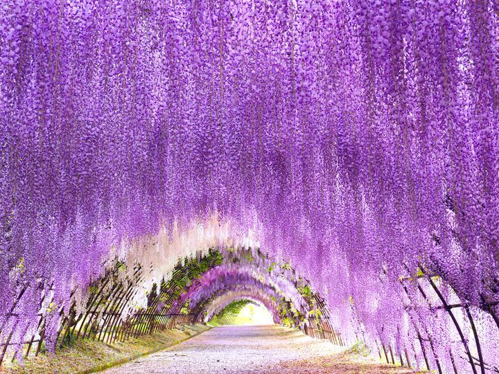 みちのく🚙一台旅⑨ リベンジするぞ〜