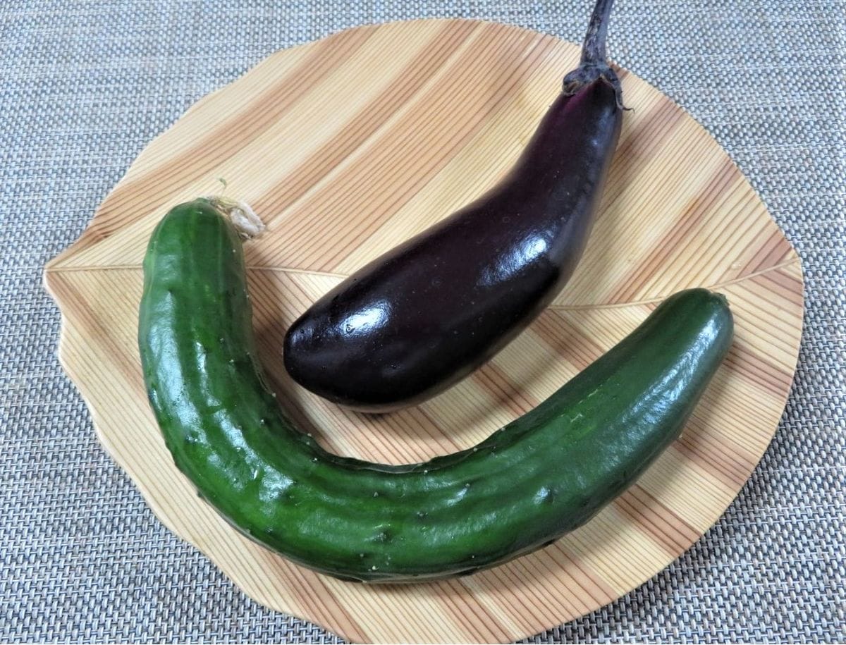 🥒キュウリと🍆ナスの収穫