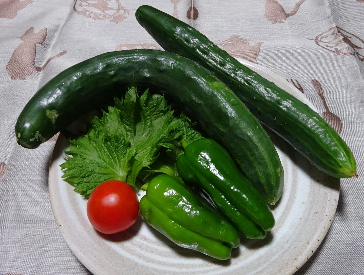 昨日の夕食（青じそ　他）