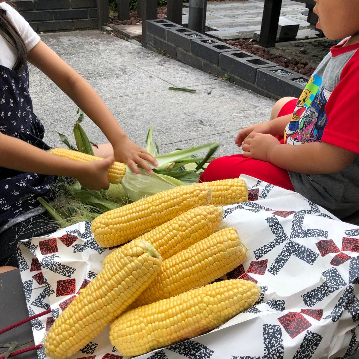 昨日の日記です🌽♪