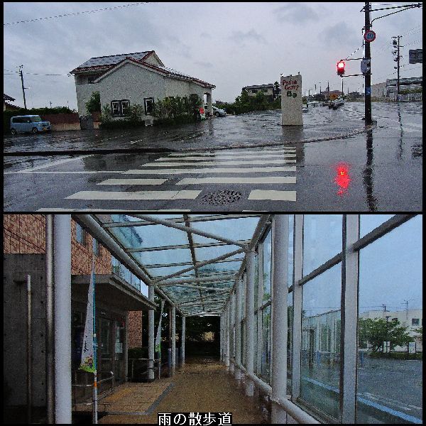 雨の散歩道。ウォーキングMS⑨144日目(3064日目)