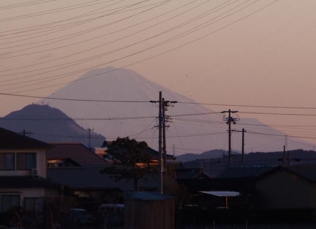 ウォーキング２０日目