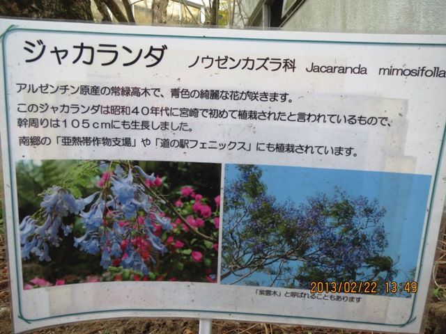 宮崎熱帯植物園