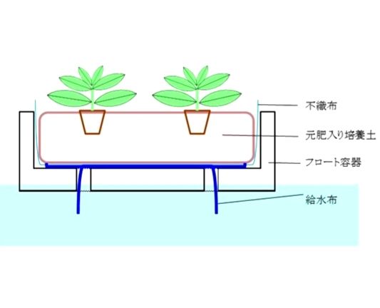 水上花壇