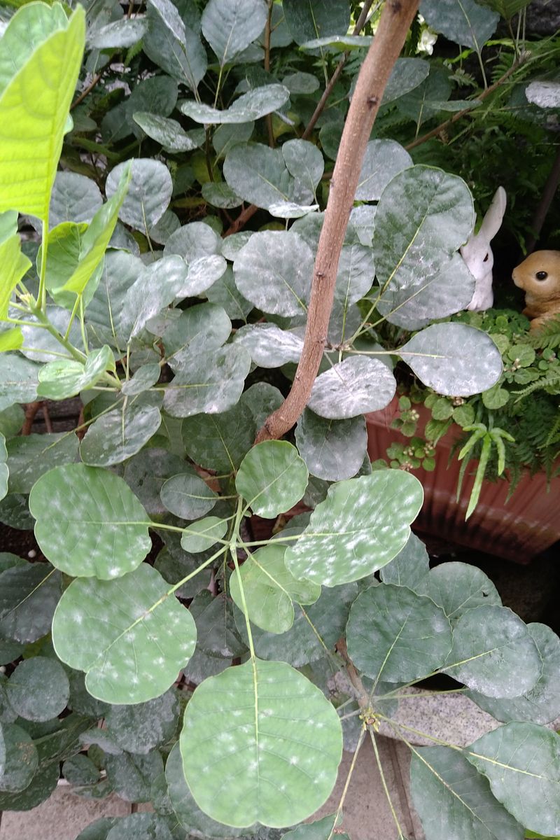 ☔雨のやんだ朝〜☆彡