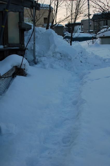 落雪注意