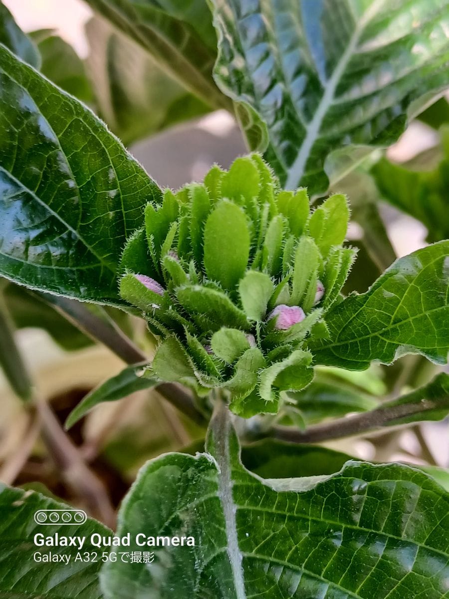 野菜🍅🍆🥒がいっぱい‼️