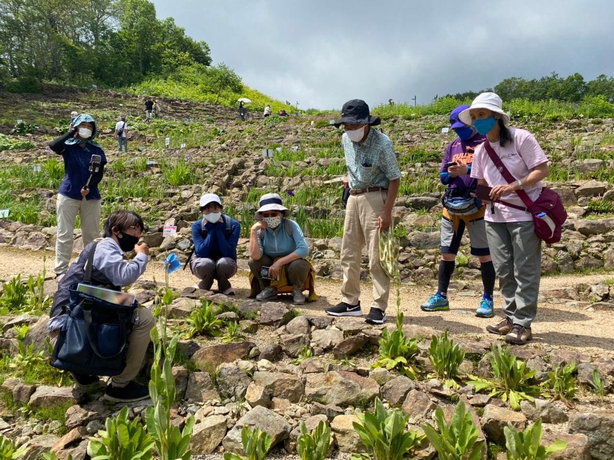 【白馬五竜高山植物園】7月の学芸員ガイド初日