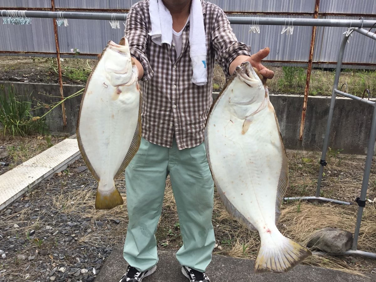 園芸ではありませんが大物です