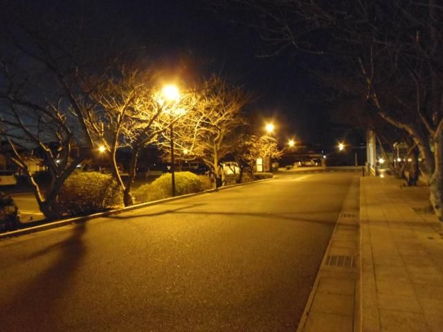 夜の散歩道。