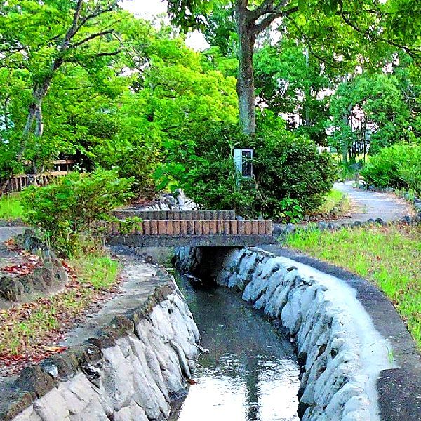 水辺の景色～水路