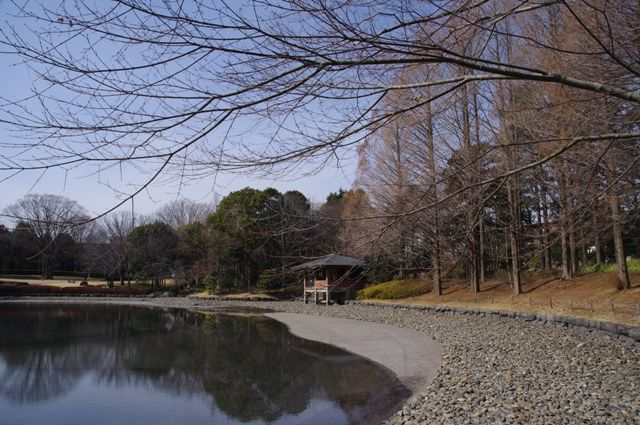 宇都宮へ行ってきました