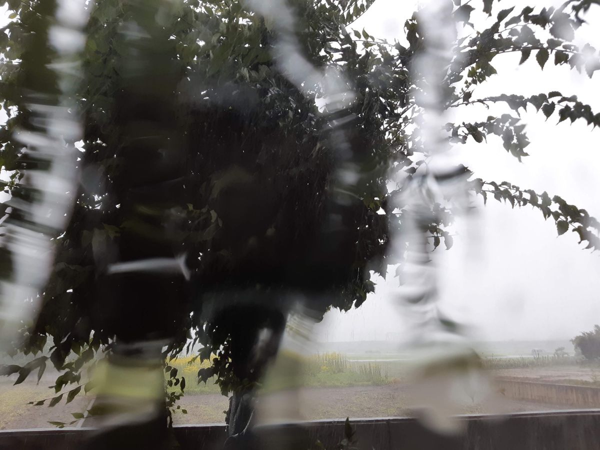 猛暑💦と雷雨⛈️続き