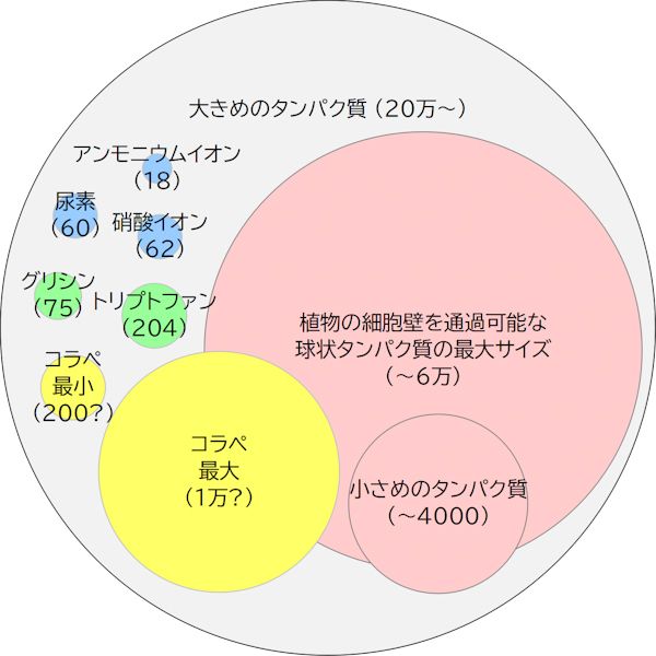 ここからが本当の実験