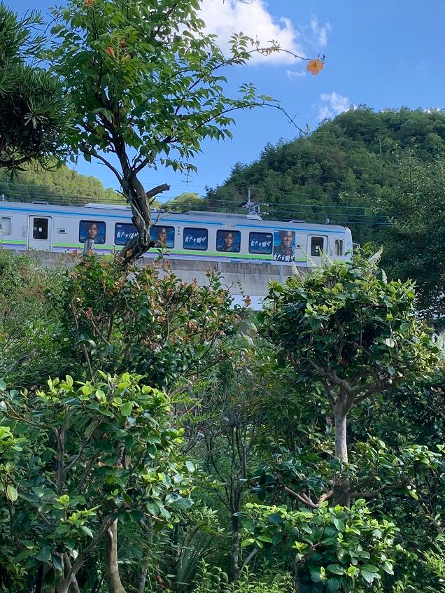 庭の花とラッピング列車