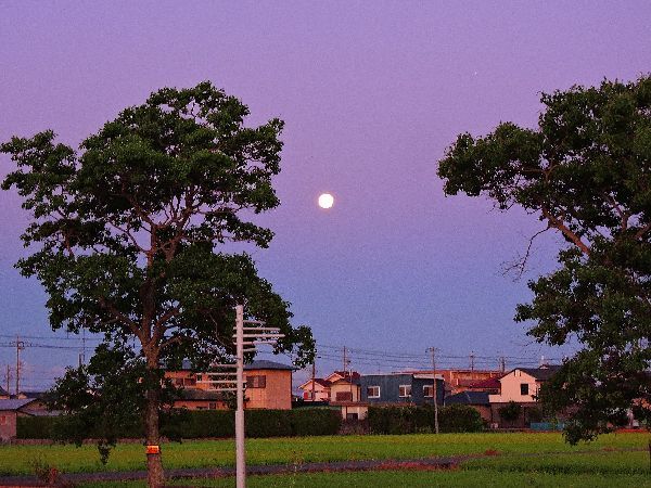 お月さん