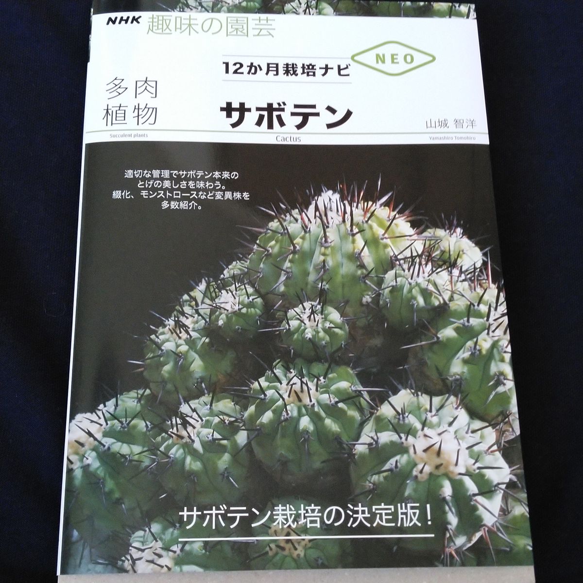 2021/07/25(日)　晴。