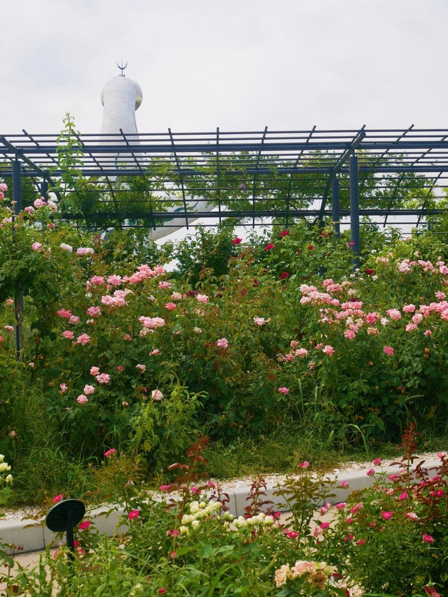 万博記念公園へ　③蓮池