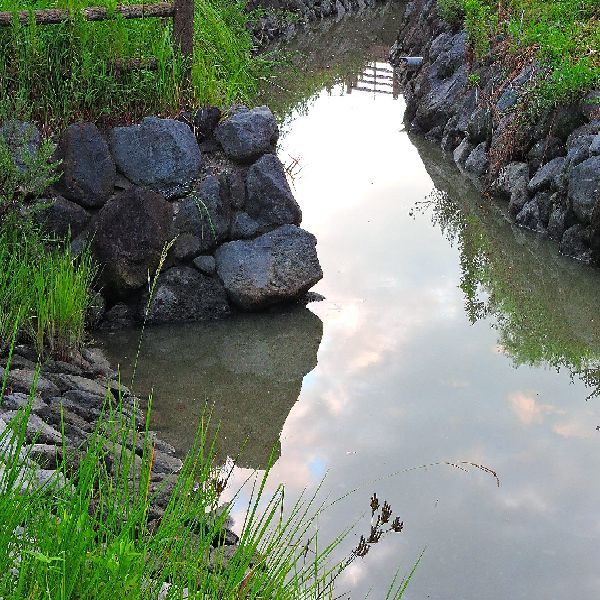 水辺の景色～涼を求めて