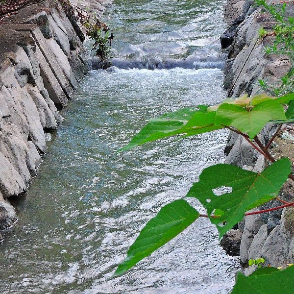 水辺の景色～涼を求めて