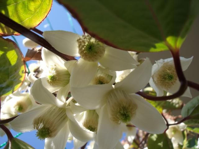 3月4日 くろがねにて