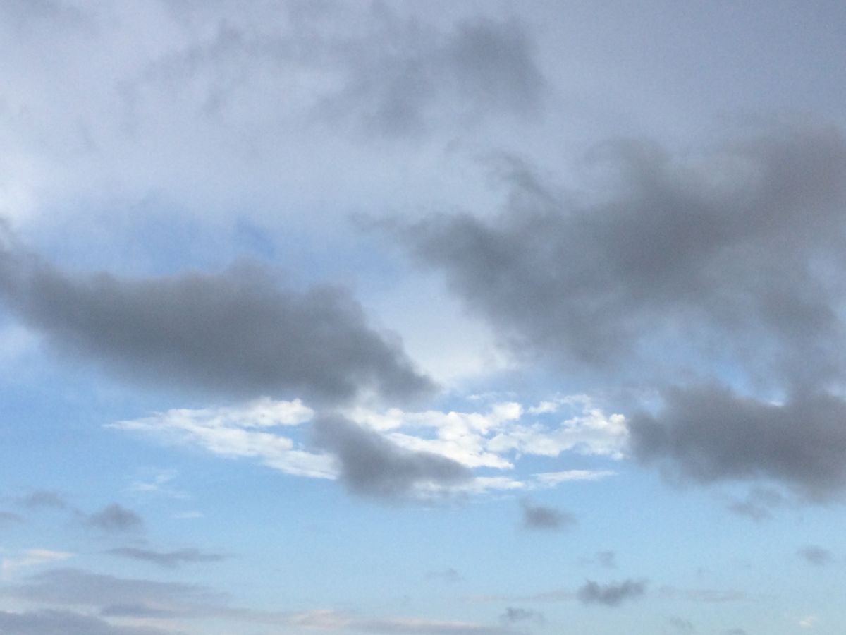 雨、降らず