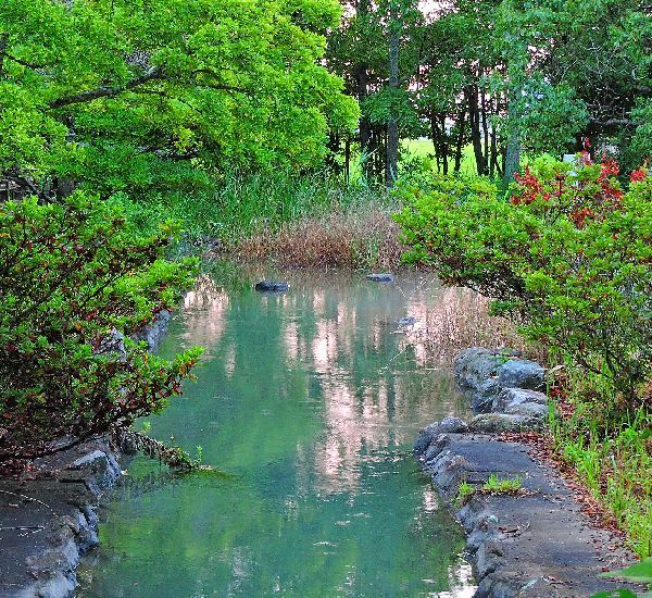 水辺の景色