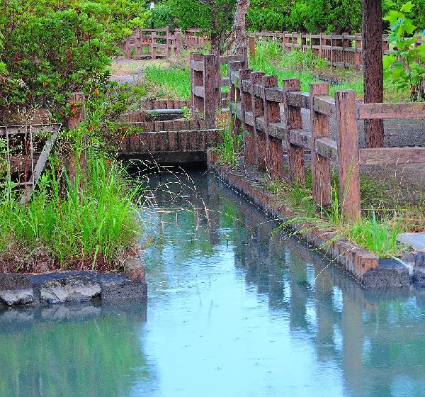 水辺の景色