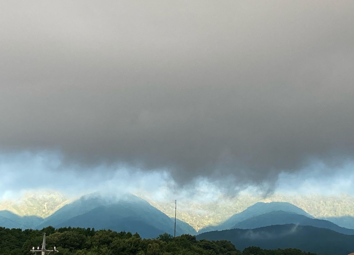 朝から得しちゃった。