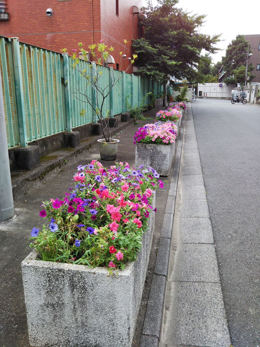 夏は水やりが大変