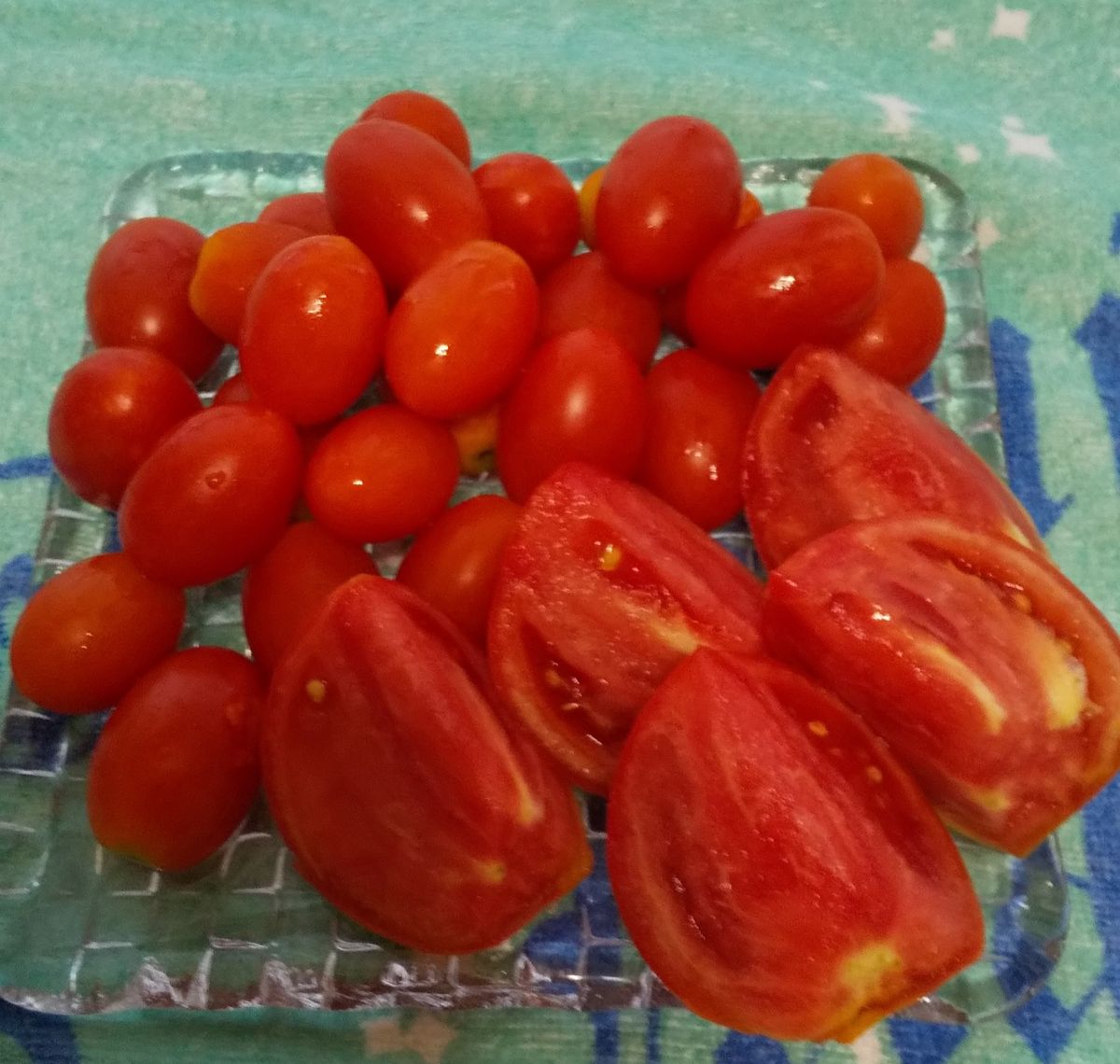 家庭菜園のトマト🍅とゴーヤ、収穫しましたー🍅