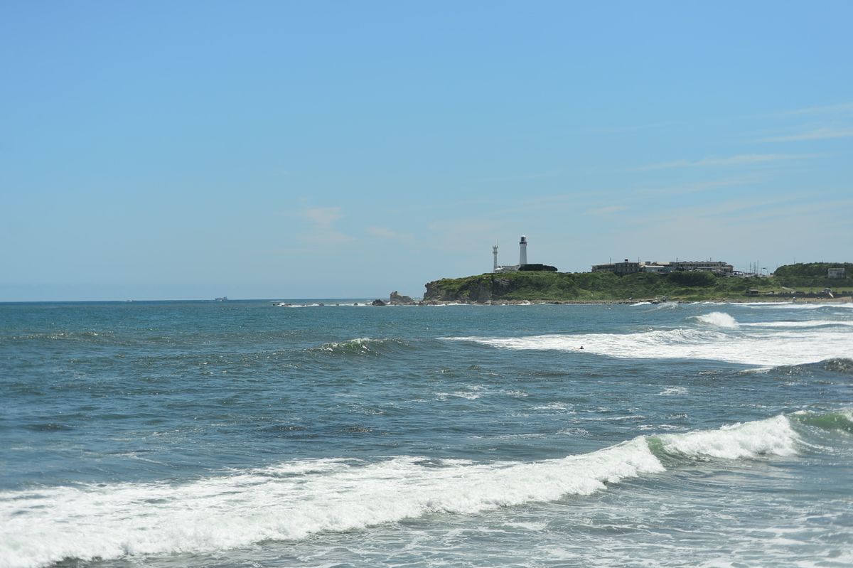 海とビオラ