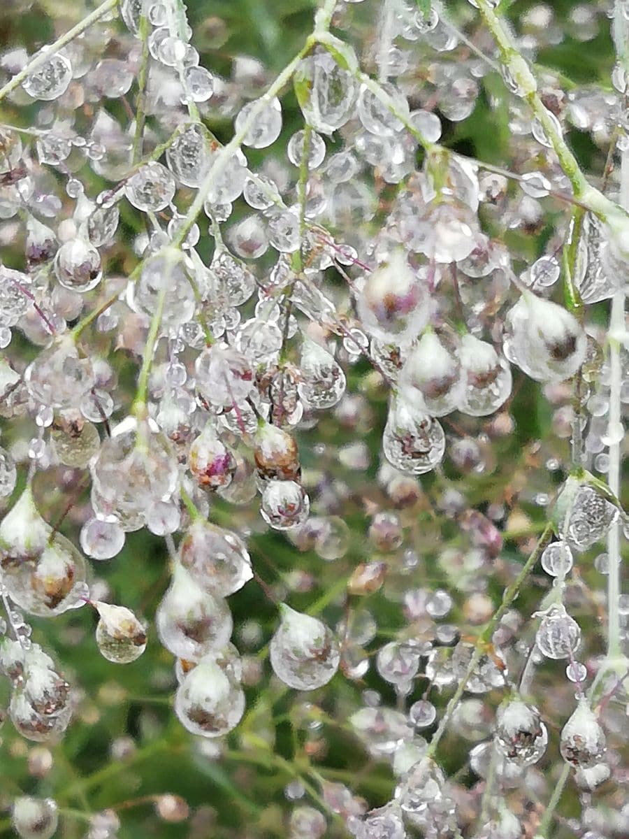 💎 ✨雨の日の宝石 ✨💎