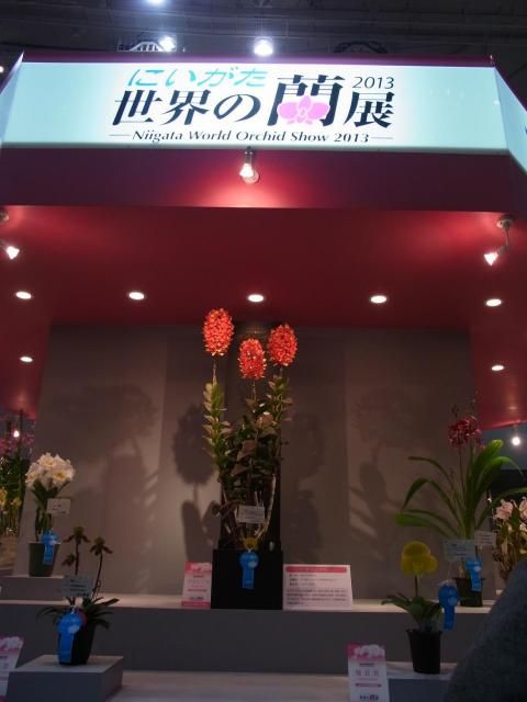 「新潟世界らん展」