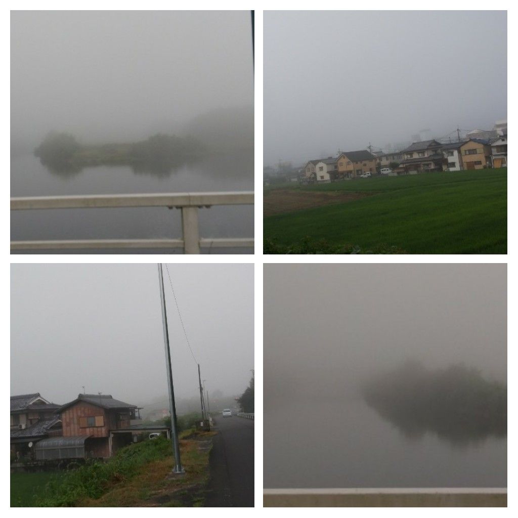 まさかの霧🌁からの酷暑😵