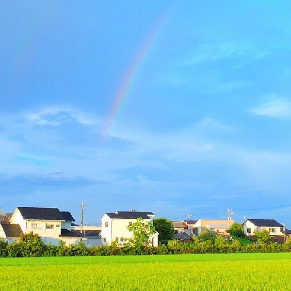 青空と虹と田園風景