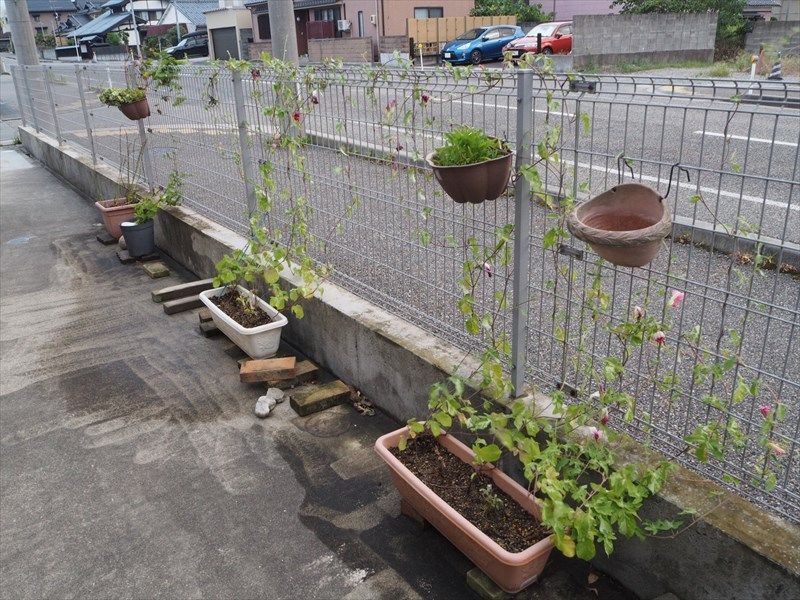 台風に備える