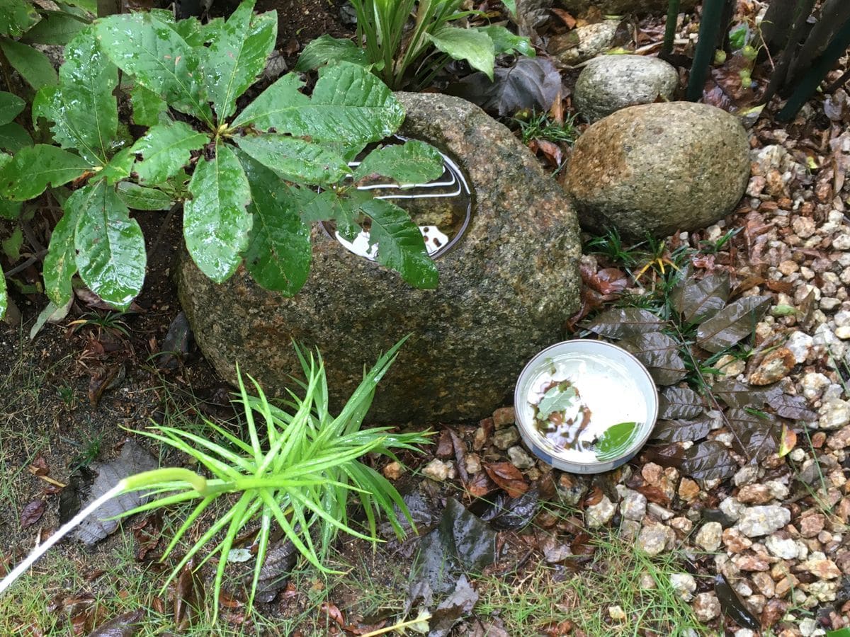 雨、止みそう。