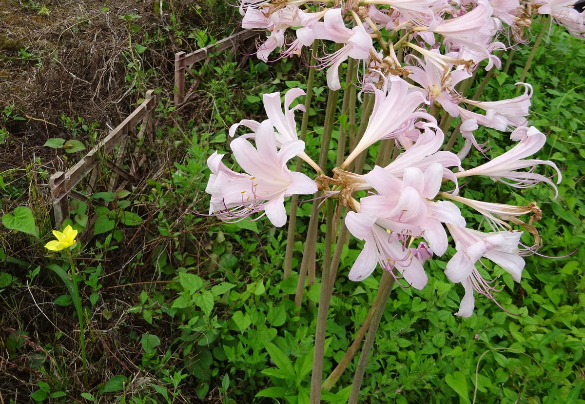 キャラ、かぶってる～　②