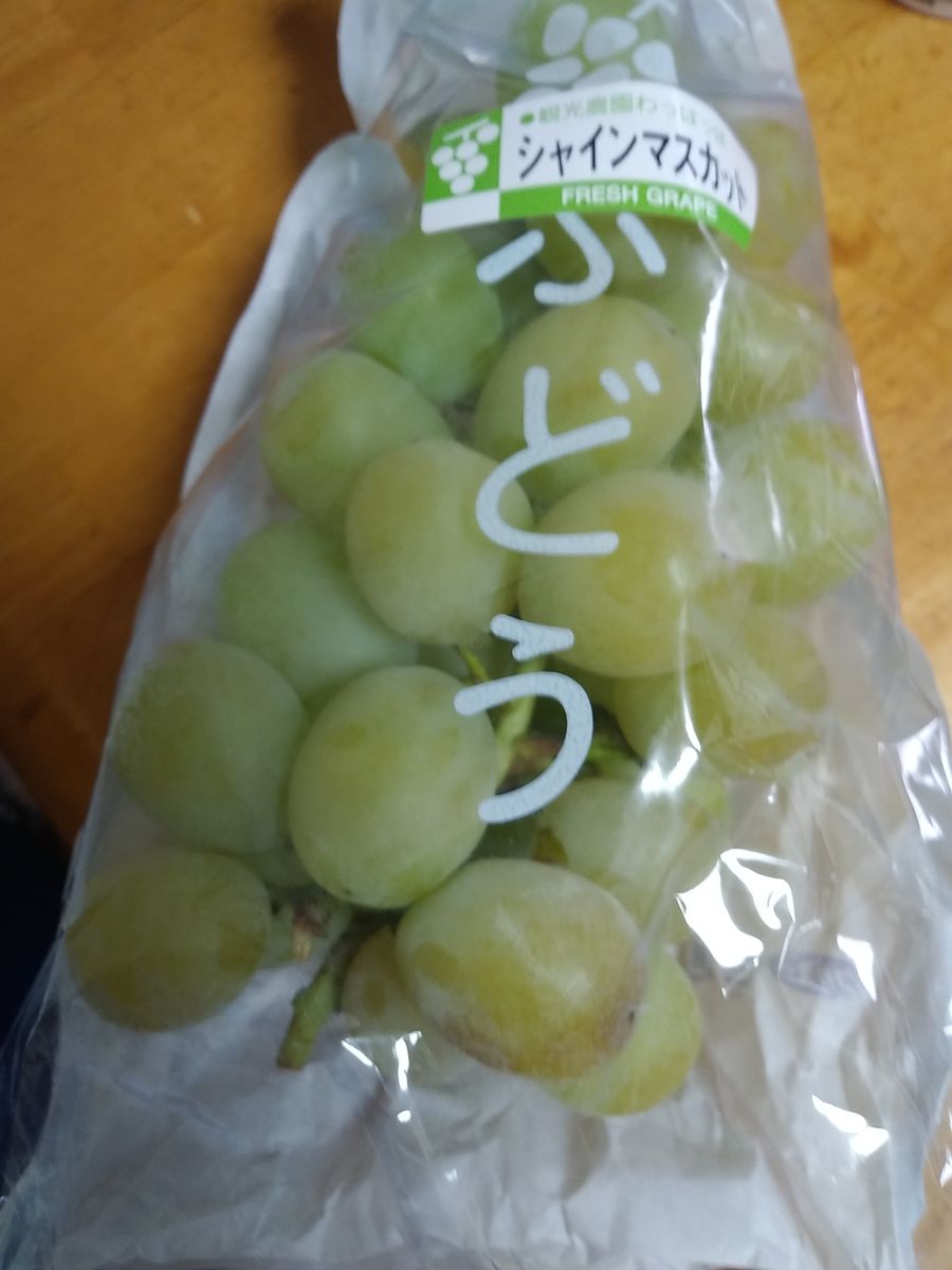 ブドウ🍇狩り