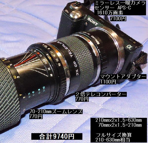 １万円以下の600mmミラーレス一眼