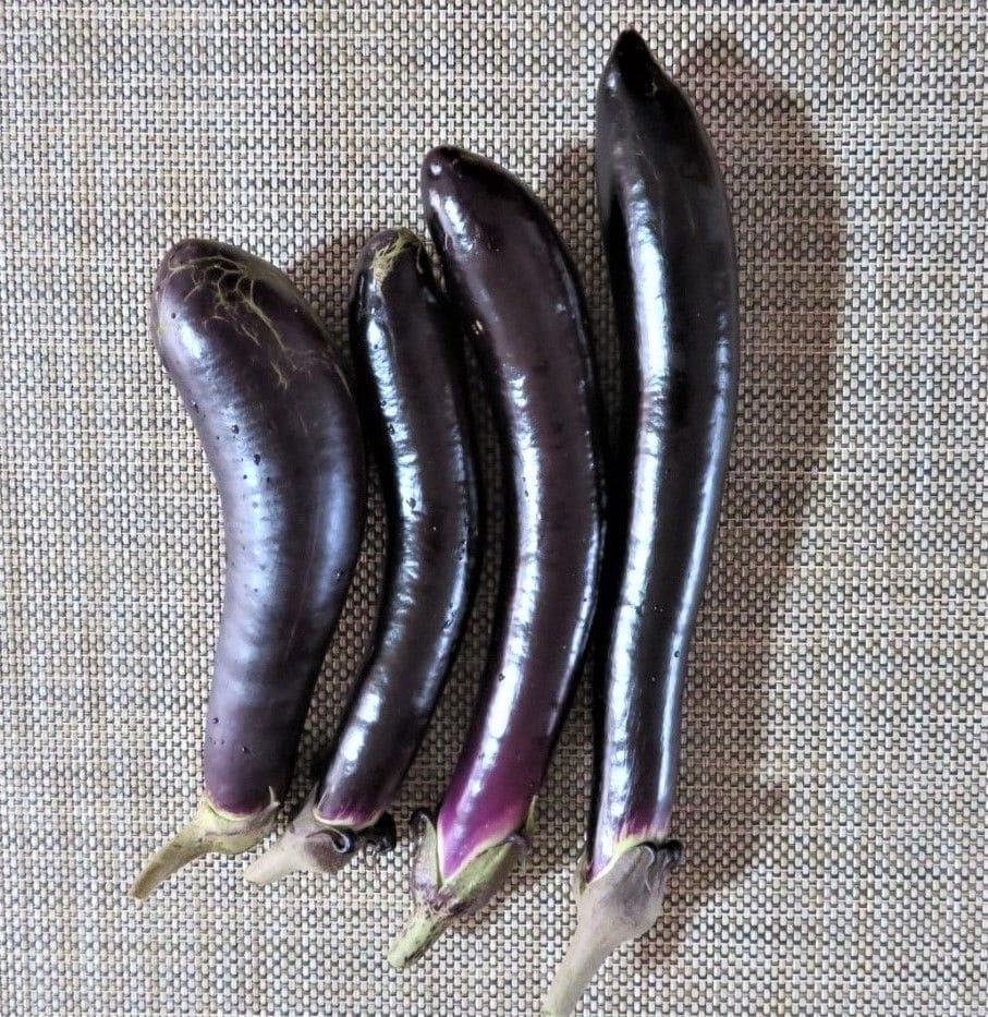 久しぶり🍆ナスの収穫