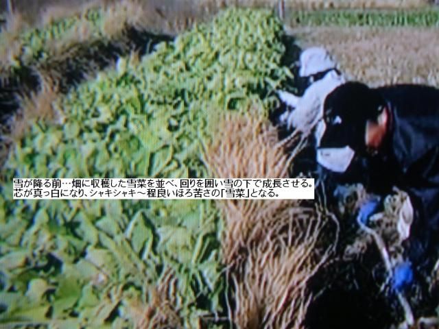 山形県の皆さん～教えて下さい！