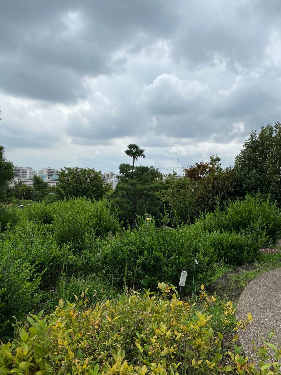 🌥🚶🏻‍♀️目黒天空庭園🌳🌳